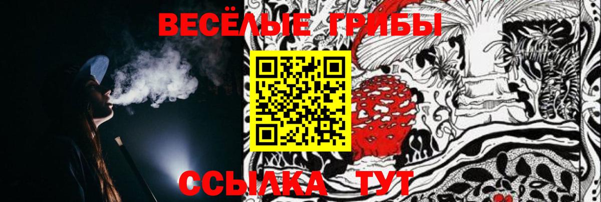 Урюпинск  Галлюциногенные грибы Cubensis  Вход с VPN 